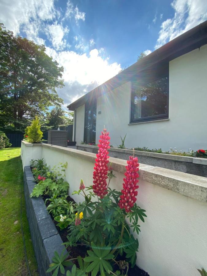 Aurora Suite B&B Coupar Angus Eksteriør billede